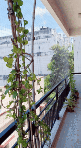best balcony safety nets for children