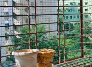 Thirumala Safety Nets