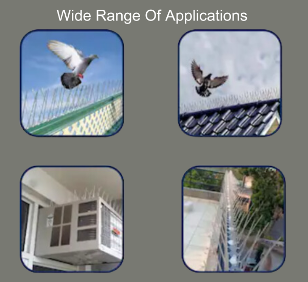Wide Range Of Applications (1) Anti Pigeon Spikes